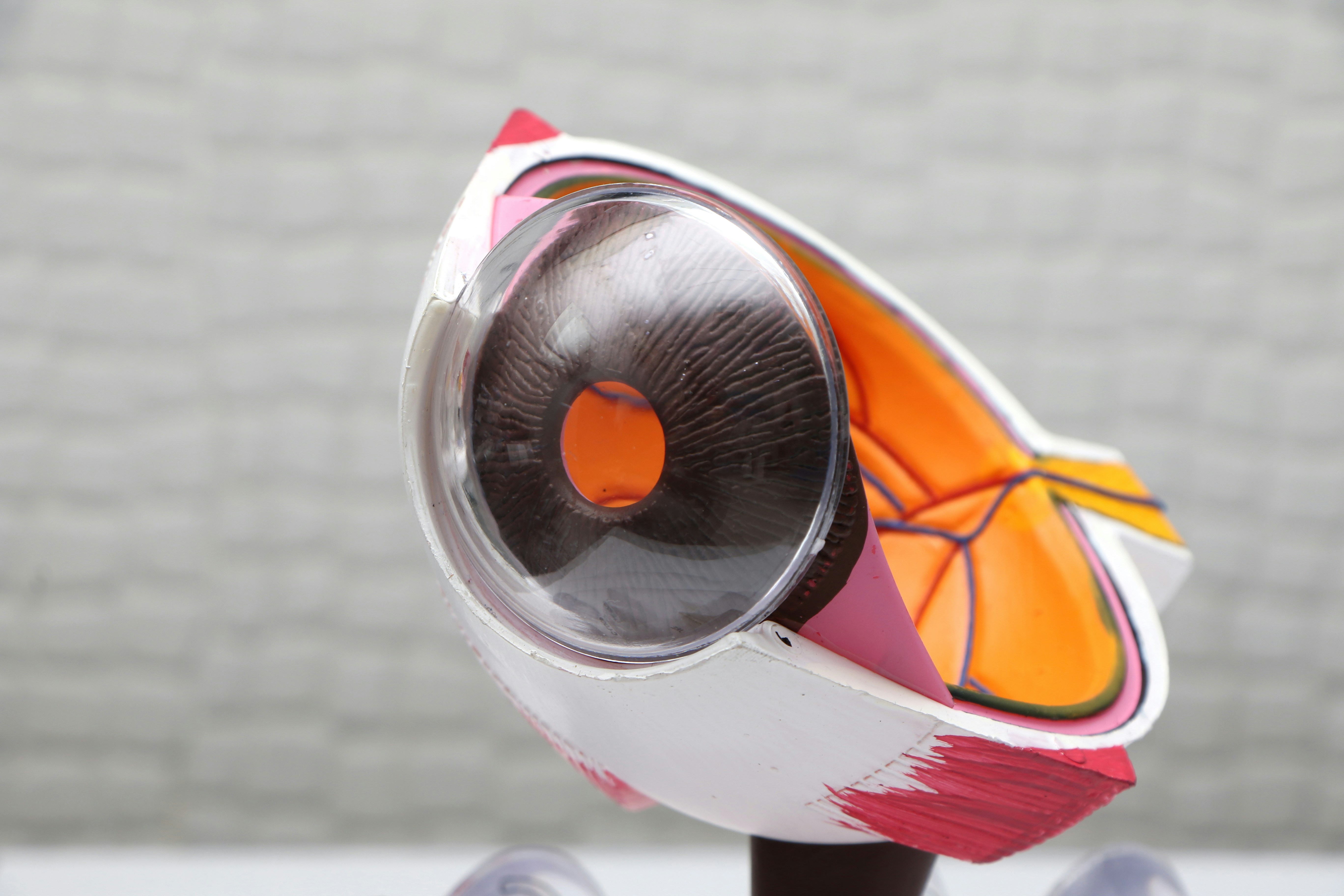 harpreet-singh-ZI2Lv7jxmEM-unsplash